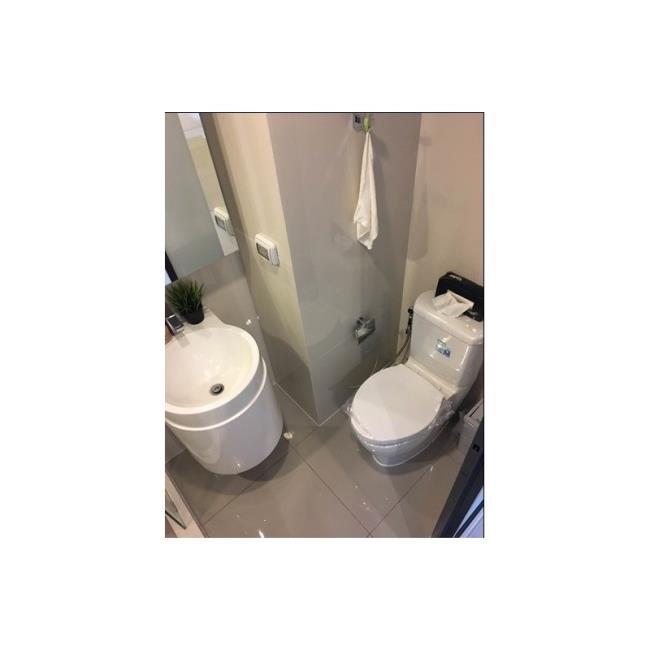 160461-thickbox_default.jpg