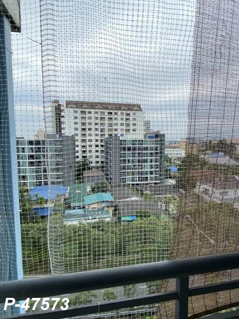 1 (10).jpg