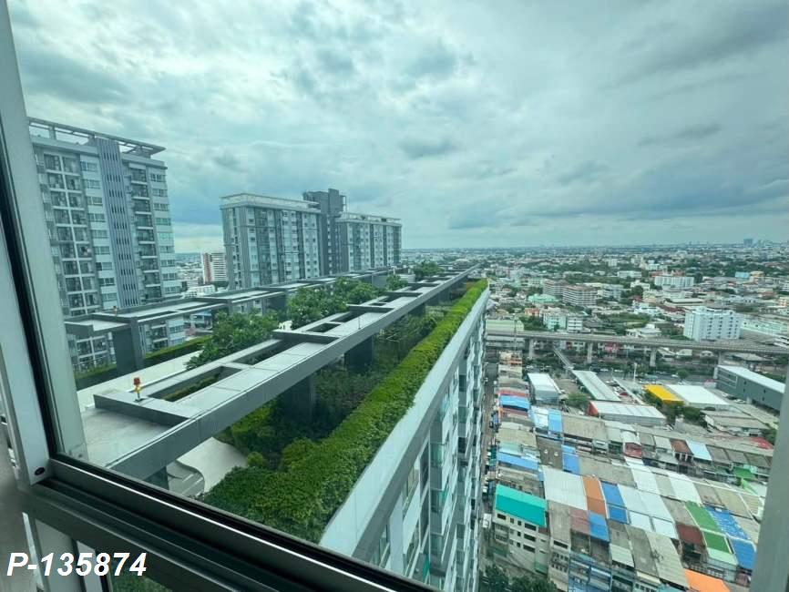 P-135874 (1).jpg